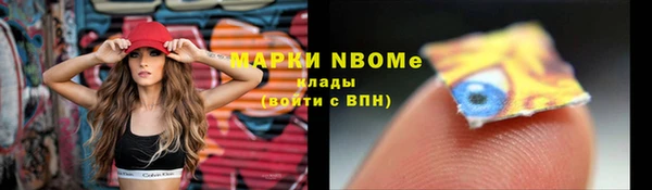 шишки Алексин