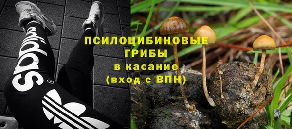 молекула духа Алексеевка