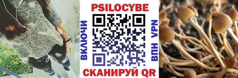 Галлюциногенные грибы прущие грибы Белоярский